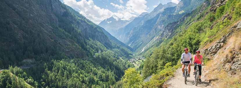 8 Erlebnisangebote ErlebnisCard Erlebnis pur zwischen Disentis und Zermatt Freie Fahrt auf dem Netz der Matterhorn Gotthard Bahn, auf den PostAuto-Linien im Oberwallis, SBB Brig Salgesch, BLS Brig