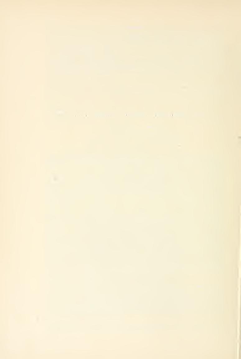 28 Literatur B u r m a n n, K. (1977) [1978] : Beiträge zur Kenntnis der Lepidopterenfauna Tirols. V. Zwei für Österreich neue Noctuiden (Insecta: Lepidoptera, Noctuidae) aus Nordtirol. Zeitschr. d. Arb.