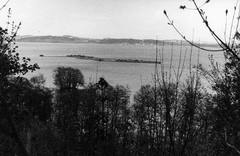 Abb. 1: Großer Plöner See, Naturschutzgebiet Tempel Foto: Berndt, 1981 VERKÜHN wärmstens hervorgehoben beruhte die besondere Attraktivität des Ascheberger Bereichs auf dem konsequenten Schutz durch