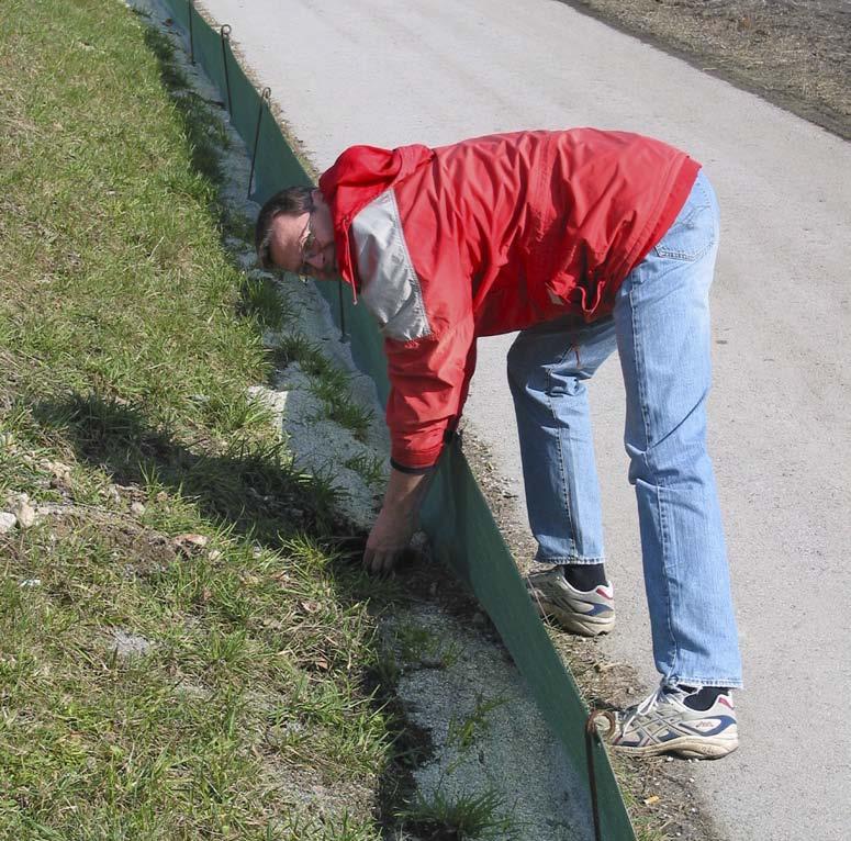 Froschklauber unterwegs: Die Zaun-Kübel-Methode zu retten. Die Kübel müssen bei jedem Wetter kontrolliert werden.