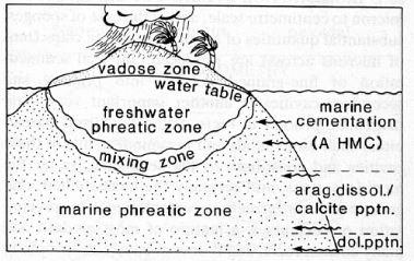 phreatisch (Süßwasser, wassergesättigte Zone) meteorisch-marine Mischzone, phreatisch (Brackwasser,