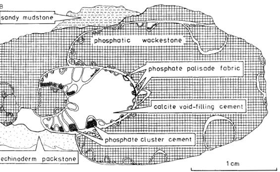 void-filling calcite cement.