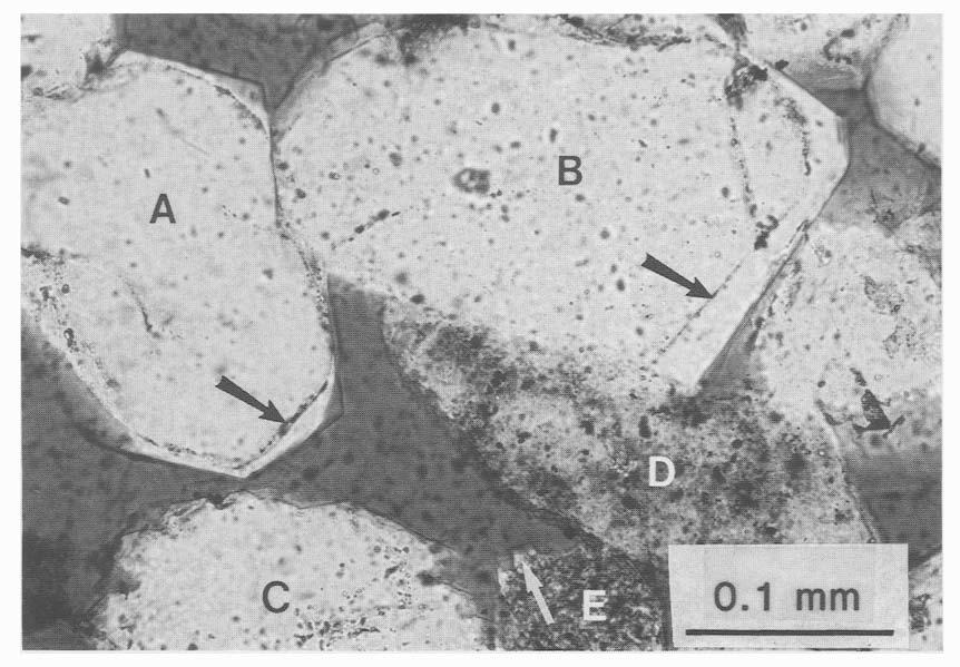 6 Quarz-Zemente Miozäne Probe, Quarz- und Chertkörner A+B: gut