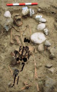 6 Tabelle der C-Datierungen an den Skeletten. Abb. 7 Grab 9, ein 6-jähriger Mann (7. 9. Jh.). Die Stell- oder Keilsteine fixierten eine Holzverschalung innerhalb der Grabgrube.