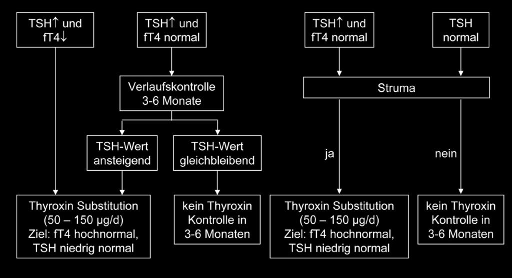 Abbildung 2: Behandlung der Autoimmunthyreoiditis mit Thyroxin. Modifiziert nach Holterhus et al.