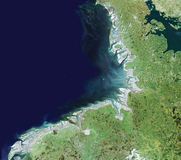 Darf ich vorstellen Weltweit größtes zusammenhängendes Wattgebiet Eines der produktivsten Ökosysteme der Erde Dänemark Ökosystem mit extremen Lebensbedingungen mit Salz, Sturm, Wasser, Hitze und Eis