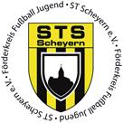 Förderkreis Jugendfußballarbeit im ST Scheyern...engagieren, bewegen, verändern... ==> Mitglied werden!