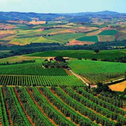 Col d Orcia Feines aus der Toskana Das Weingut Col d Orcia zählt zu den Weingütern mit der längsten Historie in Montalcino.