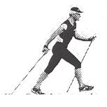 Um den Diagonalschritt (die Grundtechnik) und die vielen weiteren Techniken des Nordic Walking zu erlernen, sollte man sich in die Hände eines erfahrenen und gut ausgebildeten Trainers begeben.