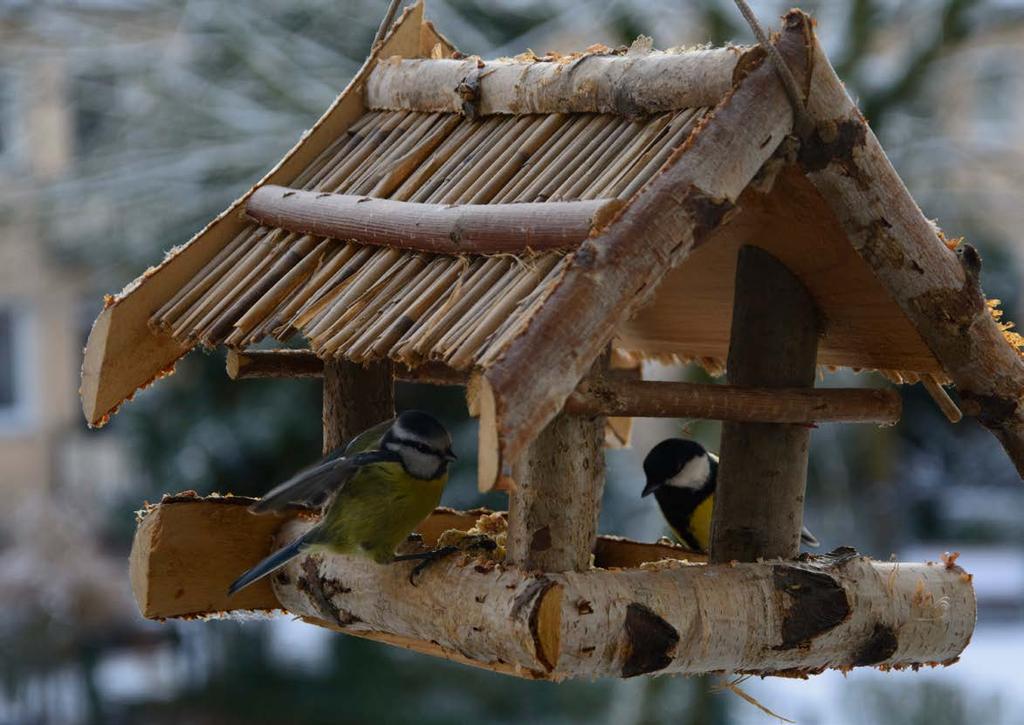 Vogelfutterhäuser Klassik mit natürlichem Charme.