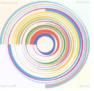 11 In der Grafik von Porchet-Munro ist die interprofessionelle Zusammenarbeit mit dem erkrankten Menschen im Zentrum in Form und Farbe dargestellt 13 : Kernteam Pflege rot Ärztlicher Dienst blau