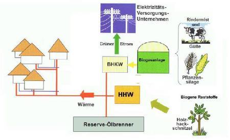 Nahwärmenetze in Bürgerhand Projektbeispiel 2 Bioenergiedorf Wallen eg eg betreibt seit 2012 Biomasseheizkraftwerk und 5,5 km Nahwärmenetz Versorgung von 105 Haushalten (ca.