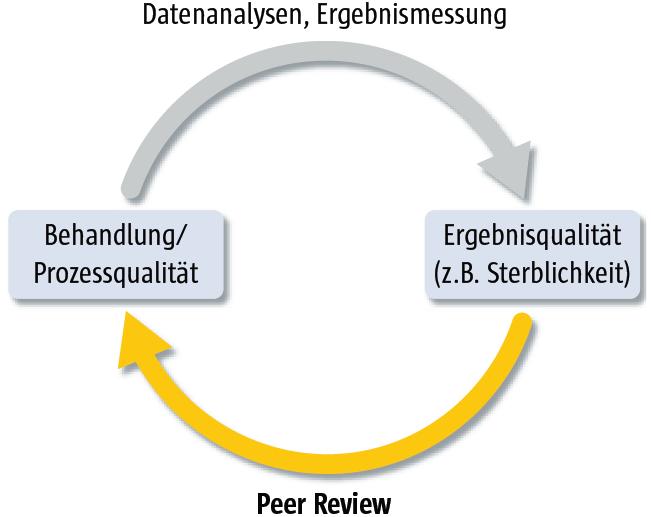 IQM Peer Reviews im PDCA-Zyklus