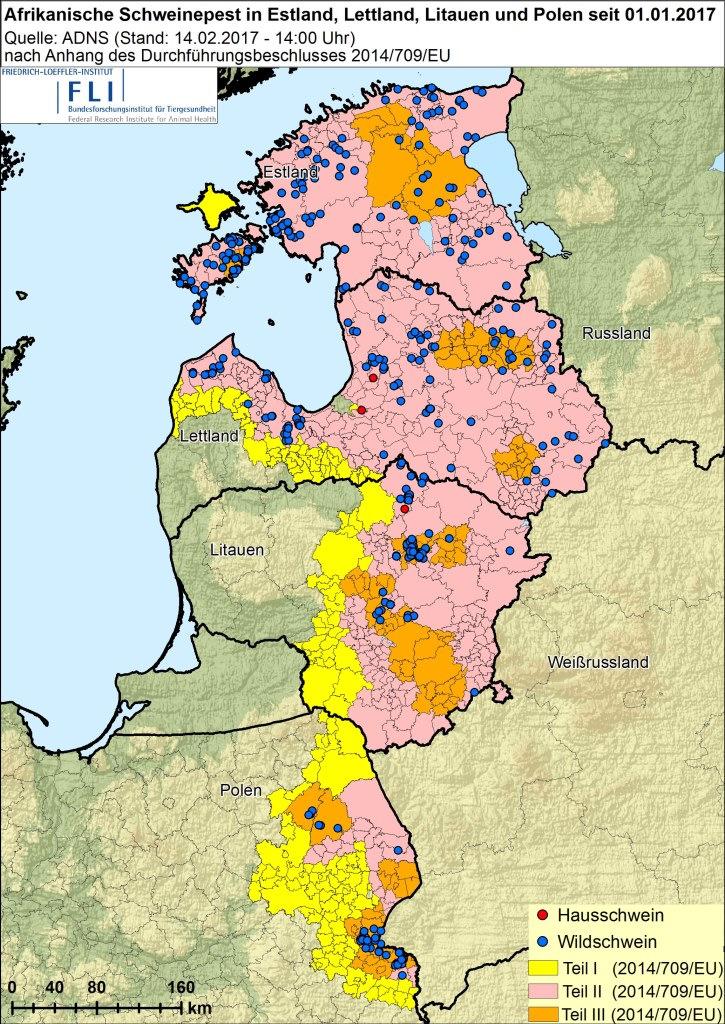 13. Januar 2017 Riga, der erste Ausbruch bei einem kommerziellen Betrieb in Lettland mit rund 5000 Schweinen