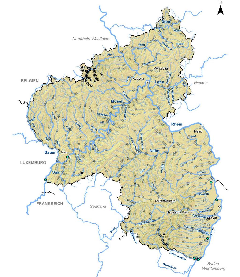 Steinbeißer 2000-2009 An 7 von