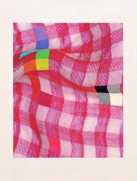 32 Simone Westerwinter 1960 geboren, lebt in Besigheim Preis: 700 Erziehung durch Dekoration, 2015 C-Print (rot), überarbeitet, Acryl, Tagesleuchtfarbe