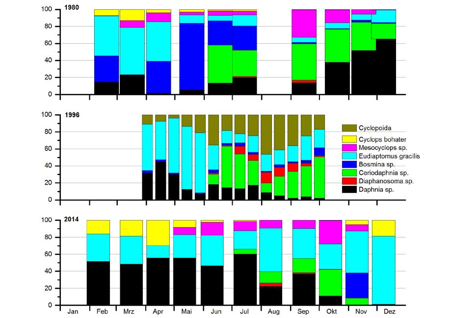 Tab. 3-6: Durchschnittliche Abundanz/l der Crustaceen im Steißlinger See in den Jahren 1980, 1996 und 2014 sowie im Vergleich mit Illmensee und Mindelsee.