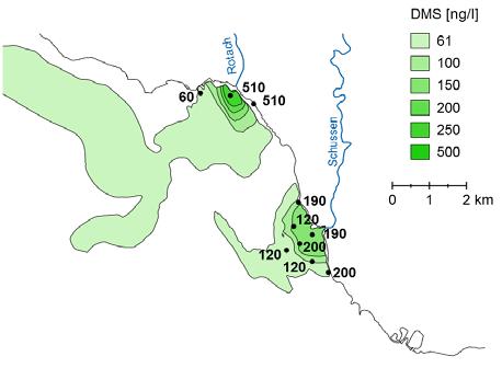 Abb. 6-9: Ausbreitung des Pestizdabbauproduktes DMS im Bodensee vor den Mündungen der Rotach und der Schussen. Vergleich von Messung (Punkte mit Messwerten) und Simulation (s. Farbskala).