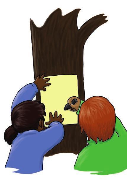 BAUMGRUSS Bäume haben eine kräftige Rinde. Sie ist der Schutzmantel der Bäume. Und sie ist einzigartig. Schaut mal genau hin! Rindenbilder 1. Geht zu zweit zusammen. 2.