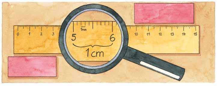 Zentimeter und Millimeter Zentimeter = cm Millimeter = mm cm = 0 mm 0 mm = cm Untersucht ein Lineal.