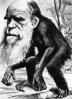 Stammbäume Charles Darwin: The origin of species (1859) Arten sind nicht unveränderlich, sondern unterliegen im Laufe der Zeit einem Wandel