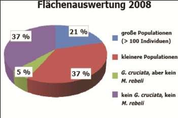 Der Kreuzenzian-Ameisenbläuling (Maculinea rebeli) Maculinea rebeli könne an den besten Fundorten mehrere tausend Falter umfassen konnten 2008 mit 1.