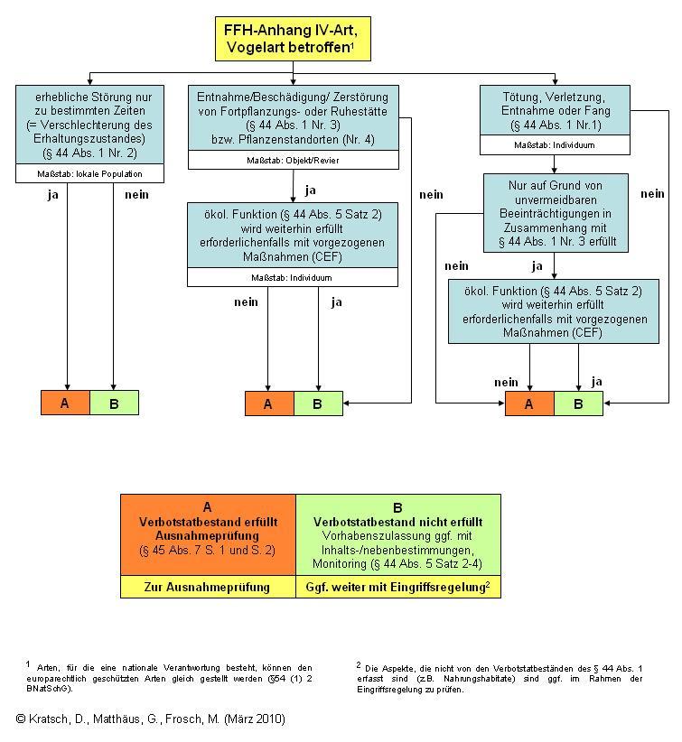 Abbildung 1 Ablaufschema einer artenschutzrechtlichen Prüfung (Kratsch et al.