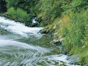 Bäche, Flüsse und Seen Die Oberflächengewässer sollen bis 2015 einen guten ökologischen und einen guten chemischen Zustand erreichen.