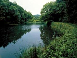 Da zum Beispiel aus Kostengründen nicht alle Maßnahmen im ersten Umsetzungsturnus realisiert werden können, muss eine Priorisierung erfolgen.