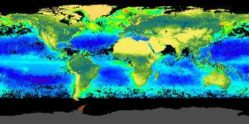 Chlorophyll auf der Erde NASA http://earthobservatory.nasa.