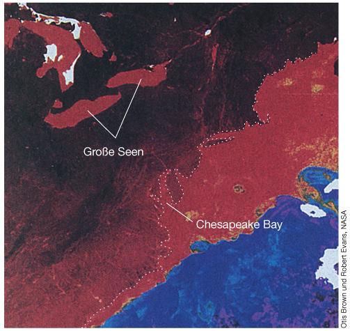 Chlorophyll an der Küste Hohe Photosyntheserate in den Küstengewässern Geringe Raten im offenen Meer wegen Nährstoff- Mangel Chlorophyll im westlichen Nordatlantik.