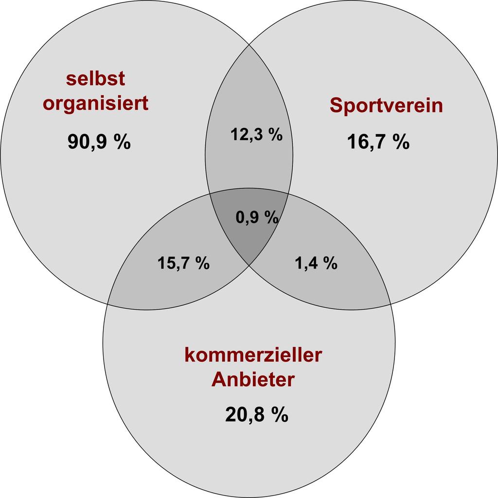 Rolle der Sportvereine inaktiv Selbst organisiertes Sporttreiben dominiert (61% ausschließlich) Sportvereine sind nur noch der drittwichtigste Sportanbieter wenig aktiv 16,7 % der Sportaktiven