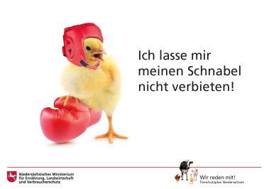 Rallye Tierschutzplan Niedersachsen Tierart Geflügel Liebe Schülerinnen und Schüler, wir freuen uns über Eure Teilnahme an der Tierschutzplan Niedersachsen Rallye vom Niedersächsischen Ministerium