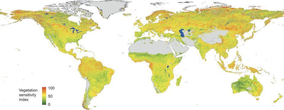 Global: Sensitivität terrestrischer Ökosysteme auf Klimaveränderungen