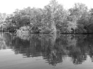 (2001) konnten bei der Befischung im Jahr 1999 die Arten Moderlieschen, Karausche, Schle ie im Huronensee nachweisen.