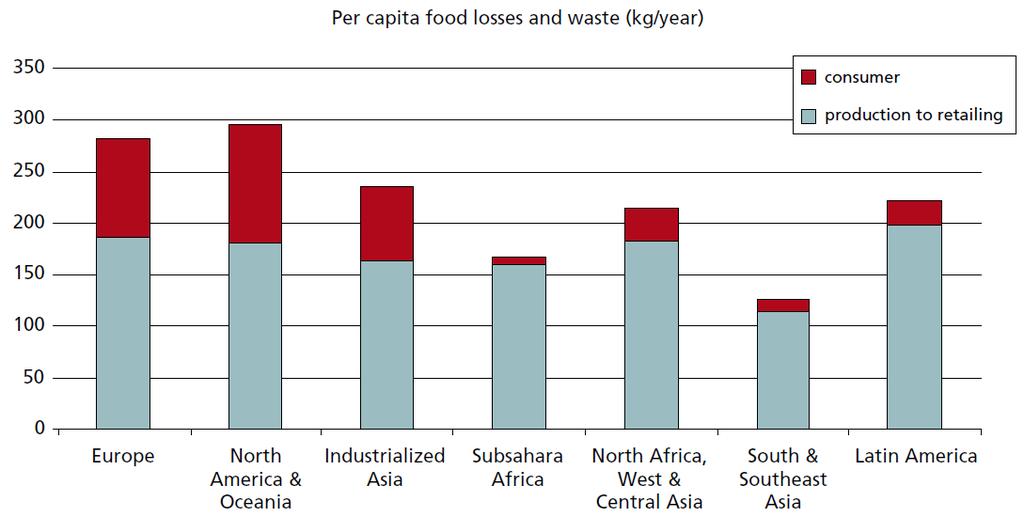 Globales Phänomen Food Waste in kg / Person /