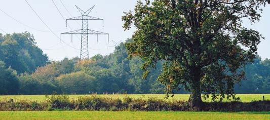 Je nach Beschaffenheit des Bodens wird entweder die Flachgründung oder die Tiefgründung gewählt. Zu den Flachgründungen zählen die Plattenfundamente.