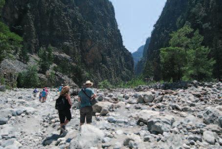 Plateau. Der Wanderung beginnt ab Xiloskalo, der Eingang der gigantischen 18 km langen Schlucht. Wir benötigen normalerweise 6-7 Stunden zur Durchquerung der felsigen Schlucht hinunter zur Südküste.