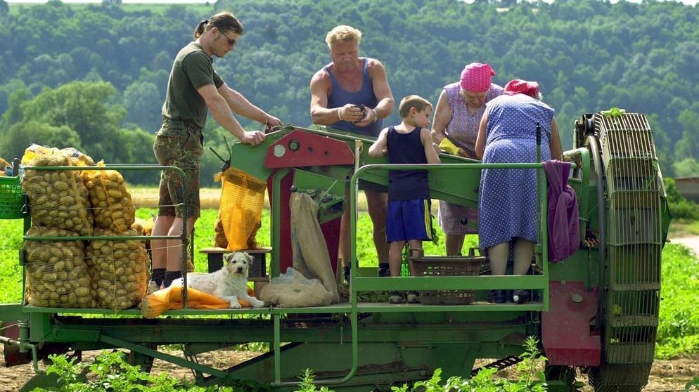 Landwirtschaftliche Nutzfläche Anforderungen - Anforderungen 2) Landwirtschaft Wirtschaftlichkeit Aufrechterhaltung gewachsener landwirtschaftlicher Betriebsstrukturen ( Familienbetriebe,