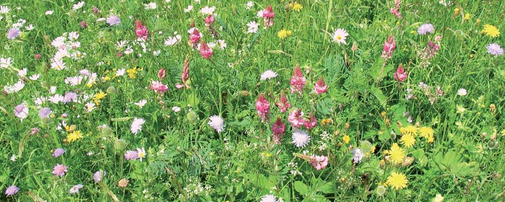 Grundstücke im Außenbereich Die Stuttgarter Außenbezirke sind meist mit einem Gürtel aus Gärten und Streuobstwiesen umgeben, der für Erholung, Landschaftsbild und Naturschutz von großer Bedeutung ist.