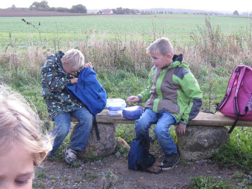 Kastanien, Hagebutten