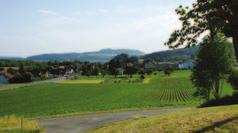 Die Busse Richtung Schinznach Dorf und Veltheim (für die Schüler der Oberstufenklassen) verkehren ebenfalls im Halbstundentakt.