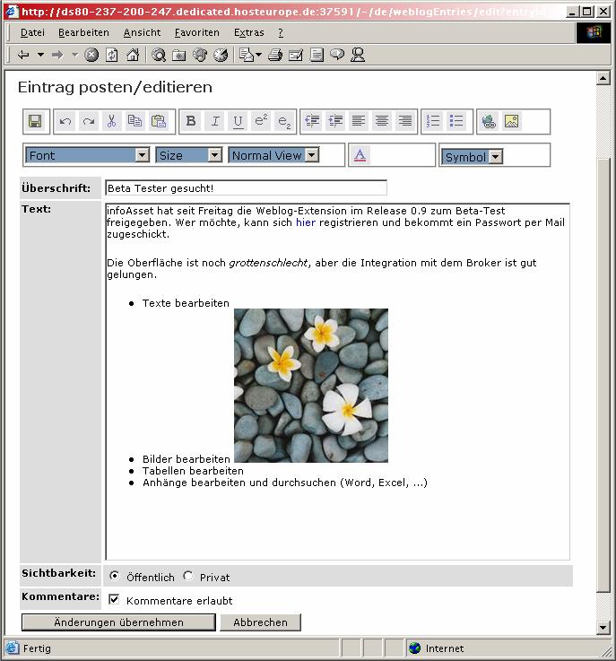 Abbildung 2: WYSIWYG-Editor für Weblogeinträge Die Suchfunktionen des Informationsportals durchsuchen gleichzeitig Weblogs, Datenbanken und Dokumente.