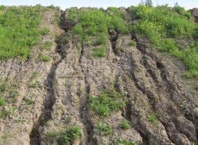 Der Beitrag beschreibt die Auswirkungen verschiedener Formen der Erosion, und wie Böschungen im Rahmen ingenieurer Bauweisen mit Geotextilien gegen Schäden durch Bodenabtrag gesichert werden können.
