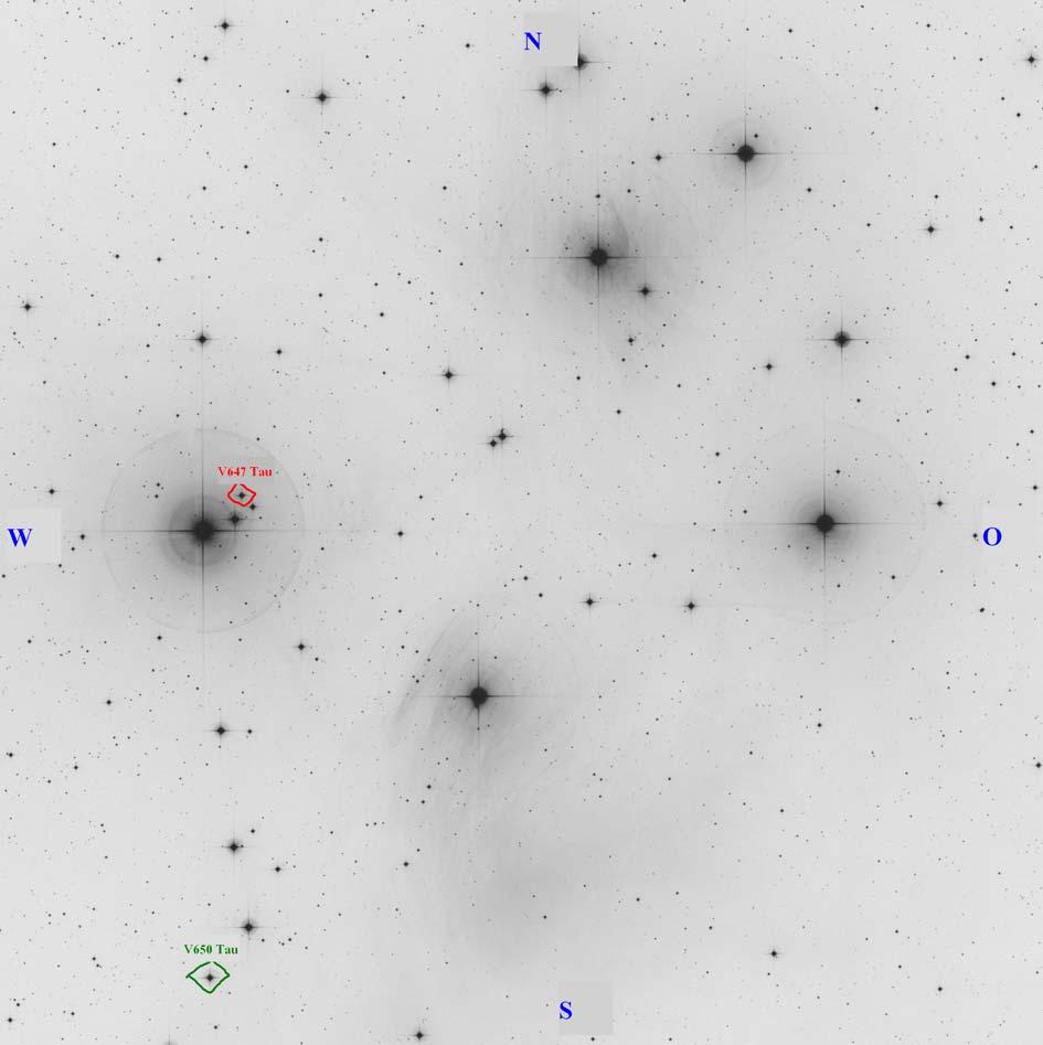 11. In SIMBAD sind 17 Objekte im Umkreis von 5 Bogenminuten um V650 Tau verzeichnet. 12. Der hellste Stern davon ist HD 23609 mit einer visuellen Helligkeit von 6,99 Magnituden.