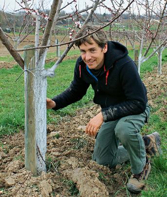 Betriebsleitung Obstbauer mit Leidenschaft Bei Joel Siegel aus der Nähe von Freiburg dreht sich alles um das Thema Obst. Seit 2009 wirtschaftet er auf eigene Rechnung.
