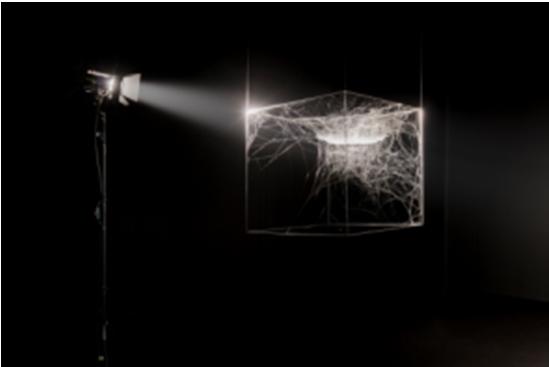 Tomás Saraceno Cosmic Jive: the Spider Sessions, exhibition view at Museo di Villa Croce, Genoa - Italy, 2014. Curated by Luca Cerizza and Ilaria Bonacossa.