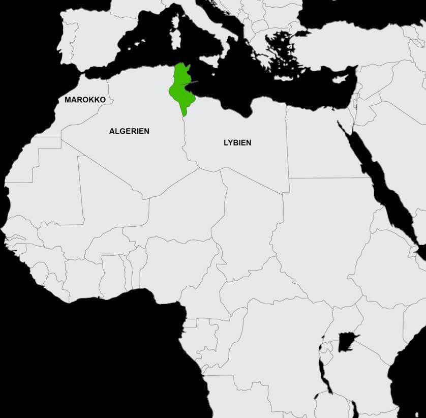 MAGHREB (TUNESIEN-MAROKKO-LIBYEN-ALGERIEN) verlässliche und