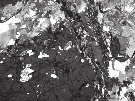3: (a) (e) Mineraltexturen in Gesteinen der paläoproterozoischen Einheit