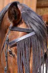 Diese Softpolster aus Kalbsleder mit Neopreneinlage verhindern, dass zu starker Druck auf Genick und Nasenrücken des Pferdes ausgeübt wird.